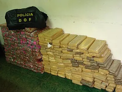 DOF apreende 233 kg de maconha na MS-164