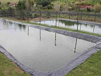 Governo isenta de licença ambiental projetos de piscicultura de até cinco hectares