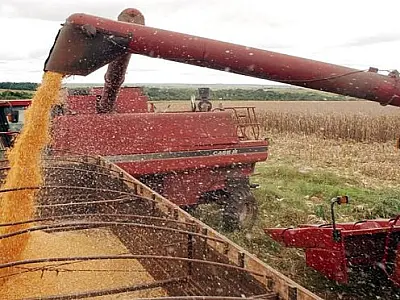 No ranking de maiores produtores agrícolas, municípios são também recordistas em safra de soja