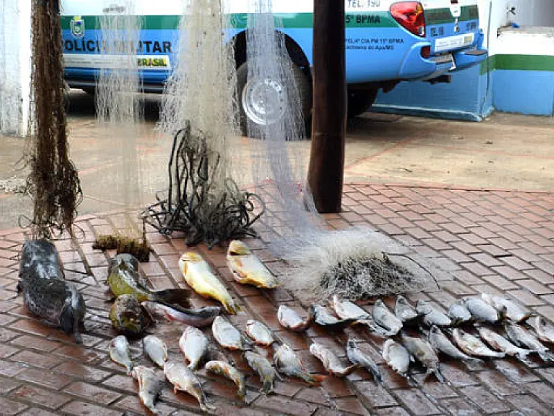 PMA solta 40 kg de peixes que estavam presos a redes de pesca
