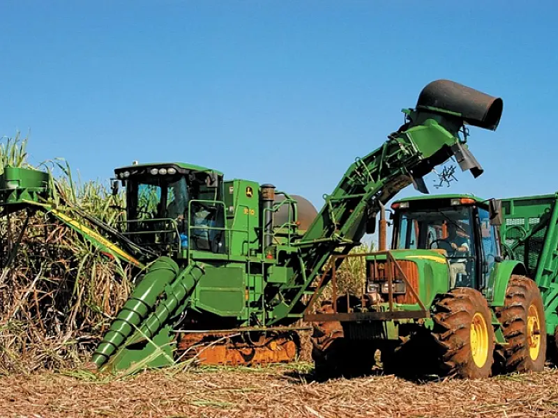 Produção de cana-de-açúcar em MS pode custar 11,5% a mais que SP