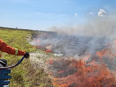 Com trabalho preventivo, bases avançadas no Pantanal atuam de forma eficaz