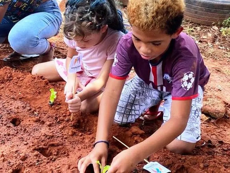 DOAÇÃO DE MUDAS GARANTE VERDURAS FRESQUINHAS NA ALIMENTAÇÃO DO INSTITUTO MISERICORDES