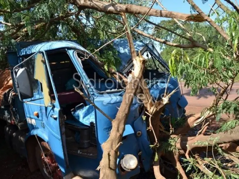 Caminhão colide em árvore para não bater em carreta na BR-060