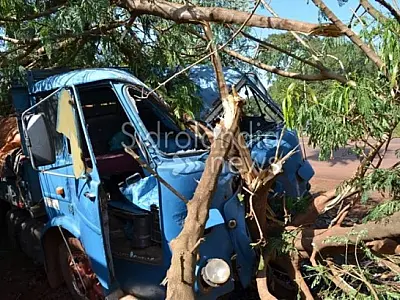 Caminhão colide em árvore para não bater em carreta na BR-060