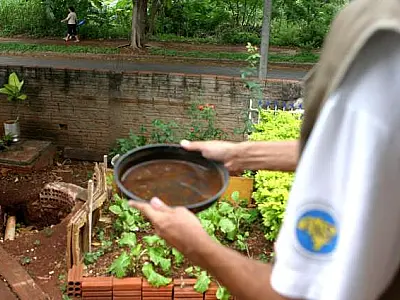 Dengue: Defesa Civil reconhece situação de emergência na Capital