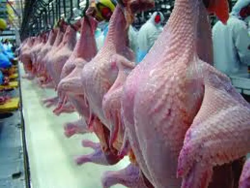 Carne de frango será a mais consumida no mundo em 2020