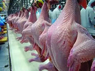 Carne de frango será a mais consumida no mundo em 2020