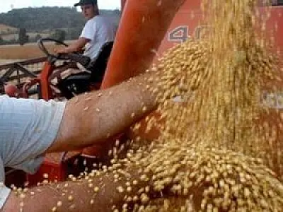 Safra de grãos 11/12 deve ser 2,2% menor, prevê Conab