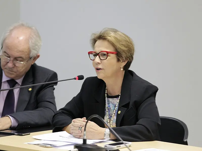 Deputada Tereza Cristina aprova urgência para Lei da compra de terra por estrangeiros