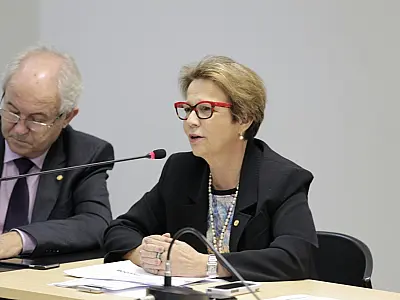 Deputada Tereza Cristina aprova urgência para Lei da compra de terra por estrangeiros