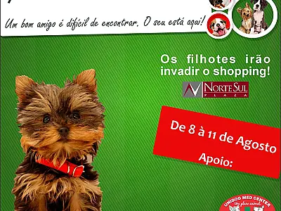 Campo Grande recebe 7ª edição da Feira de Filhotes