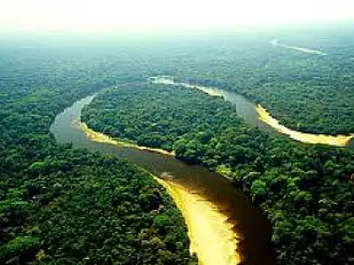 Audiência discute andamento de ações para aplicação do Código Florestal