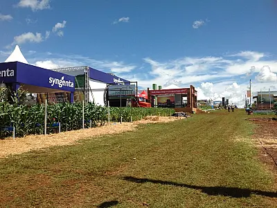 Primeira feira agro do ano, Showtec expõe 500 tecnologias em MS