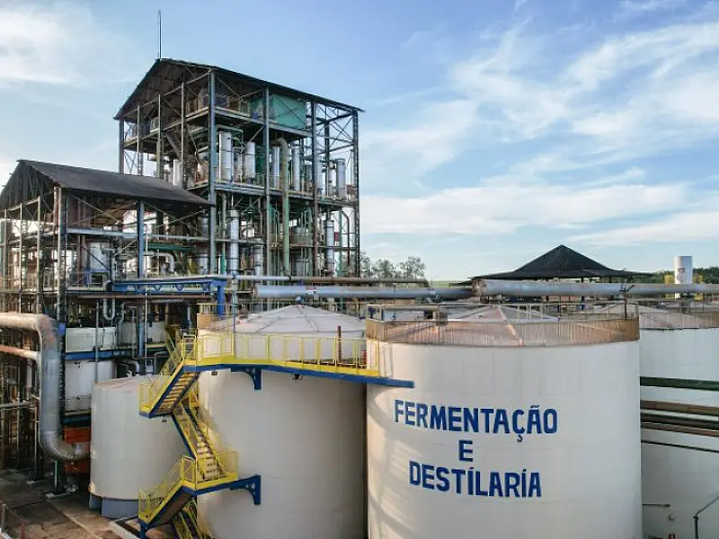 Mato Grosso do Sul consolida nova matriz produtiva