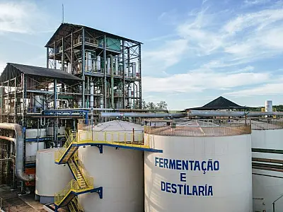 Mato Grosso do Sul consolida nova matriz produtiva