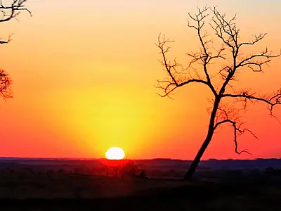 Previsão do tempo para Mato Grosso do Sul neste sábado: muito calor
