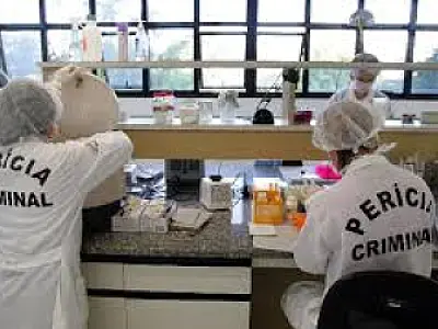 Seminário Regional dos Peritos Oficiais acontece nesta sexta-feira