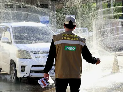 Governo reforça fiscalização sanitária