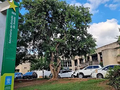 Inscrições para contratação temporária de médicos e farmacêutico encerram nesta terça
