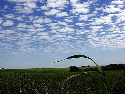 Domingo gelado no sudoeste de Mato Grosso do Sul 
