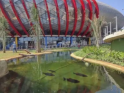 Grupo Cataratas anuncia desistência e Governo do Estado assume gestão temporária do Aquário