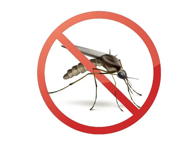 Saúde Pública: ALEMS conscientiza contra Dengue, Zika e Chikungunya
