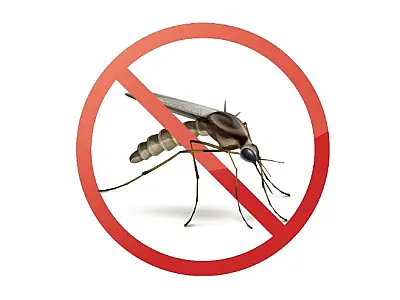 Saúde Pública: ALEMS conscientiza contra Dengue, Zika e Chikungunya
