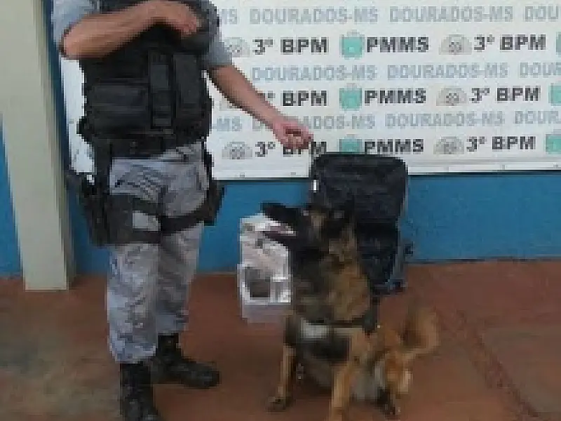 Mala é abandonada em Dourados com 13 kg de maconha