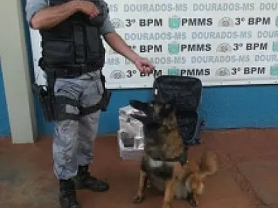 Mala é abandonada em Dourados com 13 kg de maconha