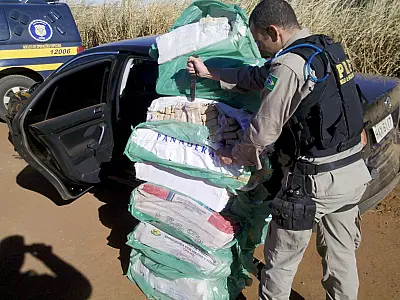 PRF apreende 254 quilos de maconha que iria para SP