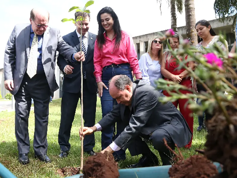 Plantio de ipê-rosa simboliza homenagem da ALMS às mulheres