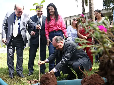 Plantio de ipê-rosa simboliza homenagem da ALMS às mulheres