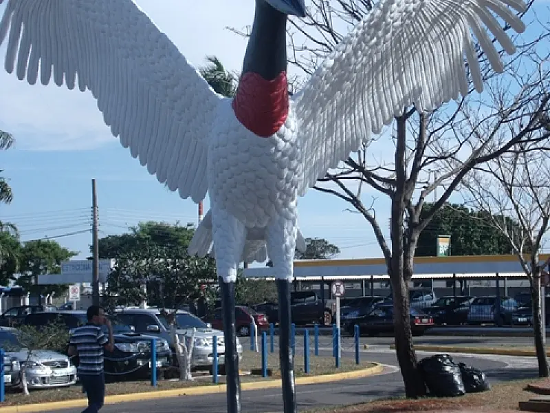 Tuiuiú do Aeroporto fica pronto após 80 dias de reforma