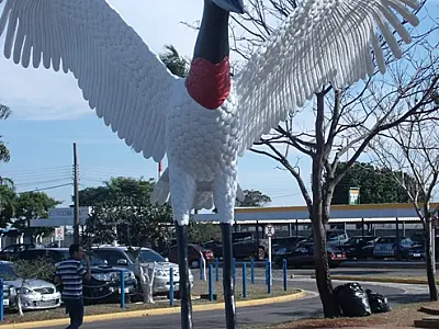 Tuiuiú do Aeroporto fica pronto após 80 dias de reforma