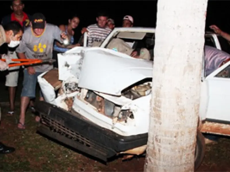 Motorista fica ferido após colidir em coqueiro na MS-147