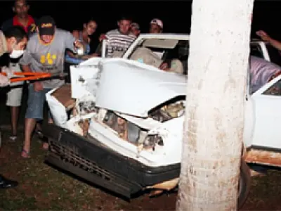 Motorista fica ferido após colidir em coqueiro na MS-147