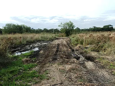 PMA autua sitiante em R$ 5 mil por construir aterro ilegal