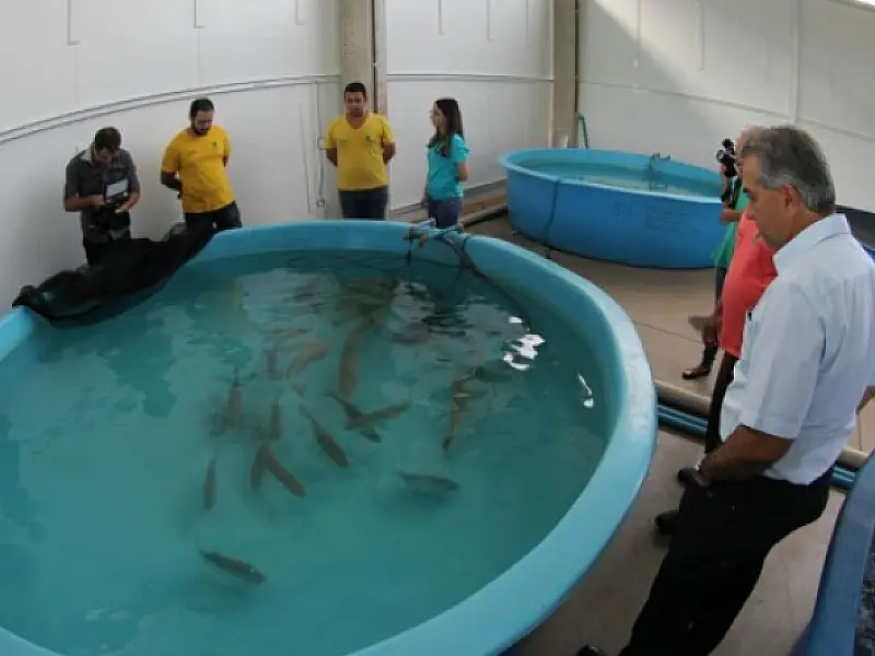 Governo assume quarentena de peixes do Aquário do Pantanal para garantir sobrevivência