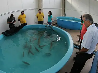 Governo assume quarentena de peixes do Aquário do Pantanal para garantir sobrevivência