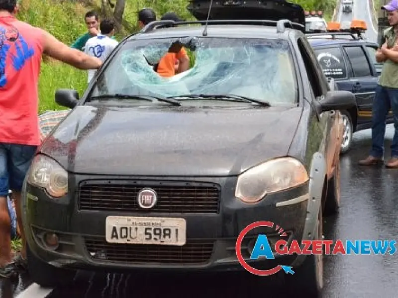 Campana de carreta se solta e mata passageiro em carro na MS-295