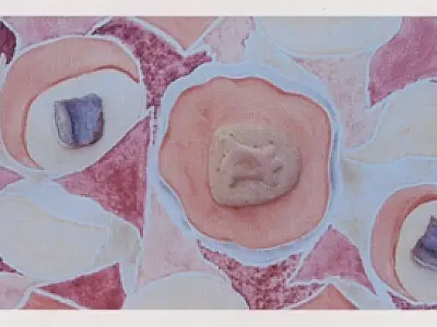 Arte e Cores no Paço recebe na segunda-feira a artista Anelise Godoy
