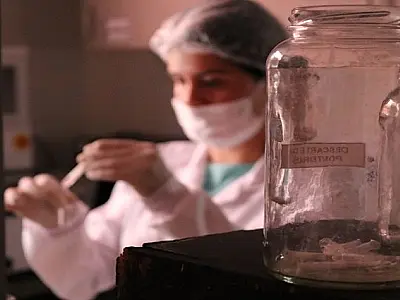 Governador sanciona lei que institui Dia do Perito Oficial Forense no Mato Grosso do Sul

