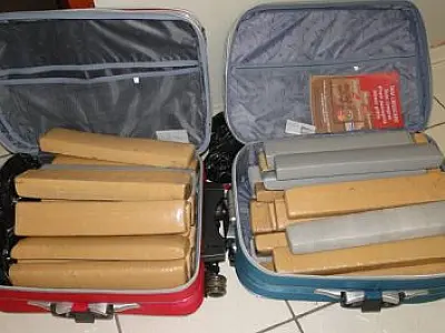 Polícia Civil apreende mais de 51 quilos de maconha em Sonora