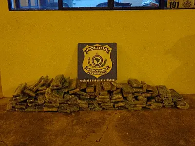 PRF apreende maconha que teria como destino a Bahia