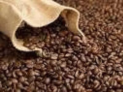 Produção de safra de café pode chegar em 44,57 milhões de sacas