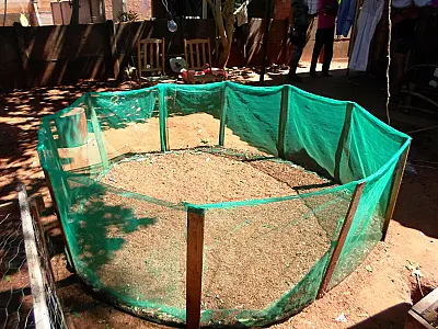 PMA fecha rinha de galho no centro de Cassilândia e aplica multa de R$ 3,5 mil