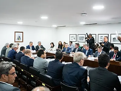 Governos discutem incêndios florestais e MS recebe destaque por integração no trabalho contra o fogo