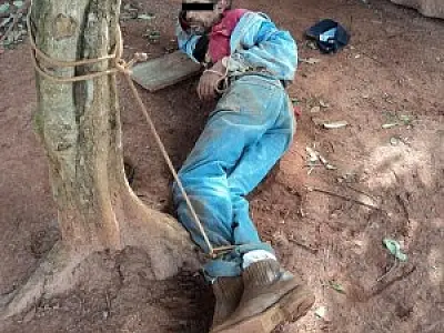 Vítima domina ladrão e o amarra em árvore cidade de Bataguassu