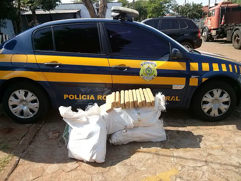 Condutores abandonam veículos com 224 kg de maconha